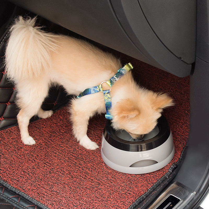 Pet Dog Bowls Floating Not Wet - огляд і ціна Travel Accessories For Dogs
