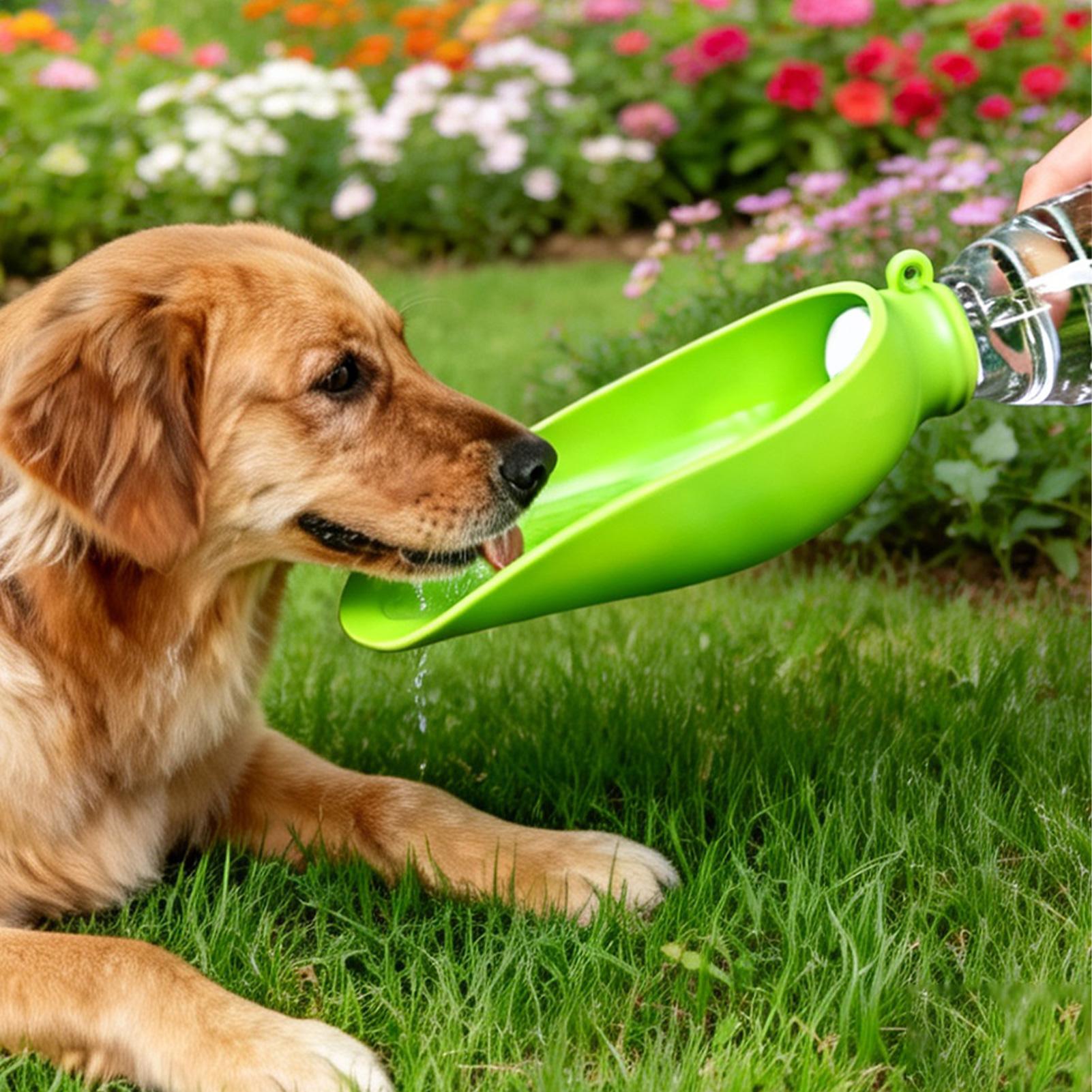 Dog Travel Water Bowl Silicone - огляд і ціна Travel Accessories For Dogs