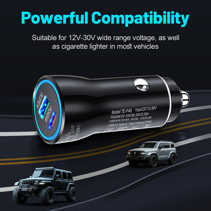 Dual Port 45W USB C Car Charge - огляд і ціна Travel Adapter Universal