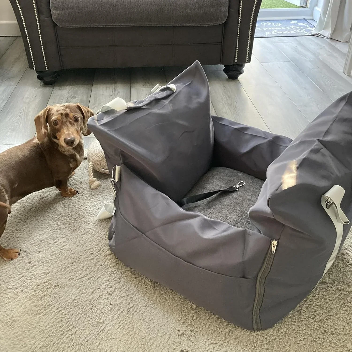 Lesure Small Dog Car Seat for  - огляд і ціна Travel Accessories Under 100